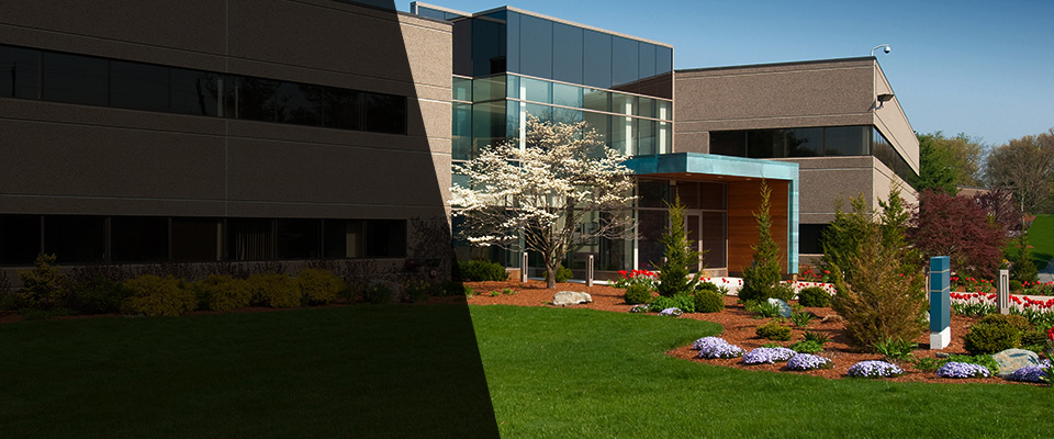 Sonora Landscapers