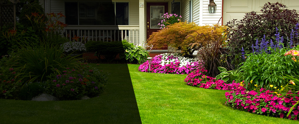 Sonora Landscapers