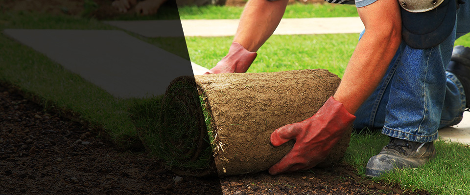 Sonora Landscapers